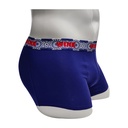 BOXER-LAPIS LAZULI FLOWER