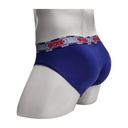 BRIEF-LAPIS LAZULI FLOWER
